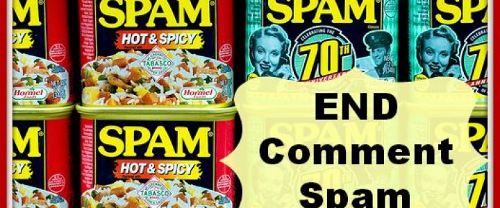 How to put an end to spam comments on your blog for good!