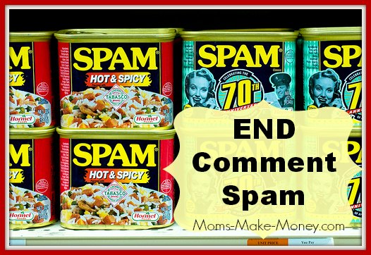 How to put an end to spam comments on your blog for good!